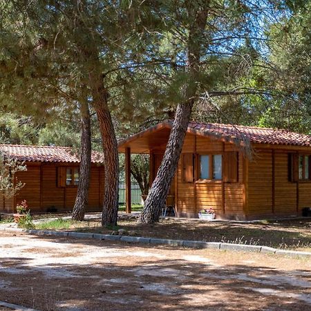 Las Casitas Del Pinar Bayubas de Abajo Exterior photo